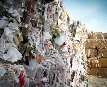 iratszef_2401_kornyezetvedelem